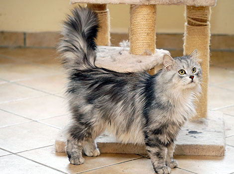 Karlo am 29. Mai 2025